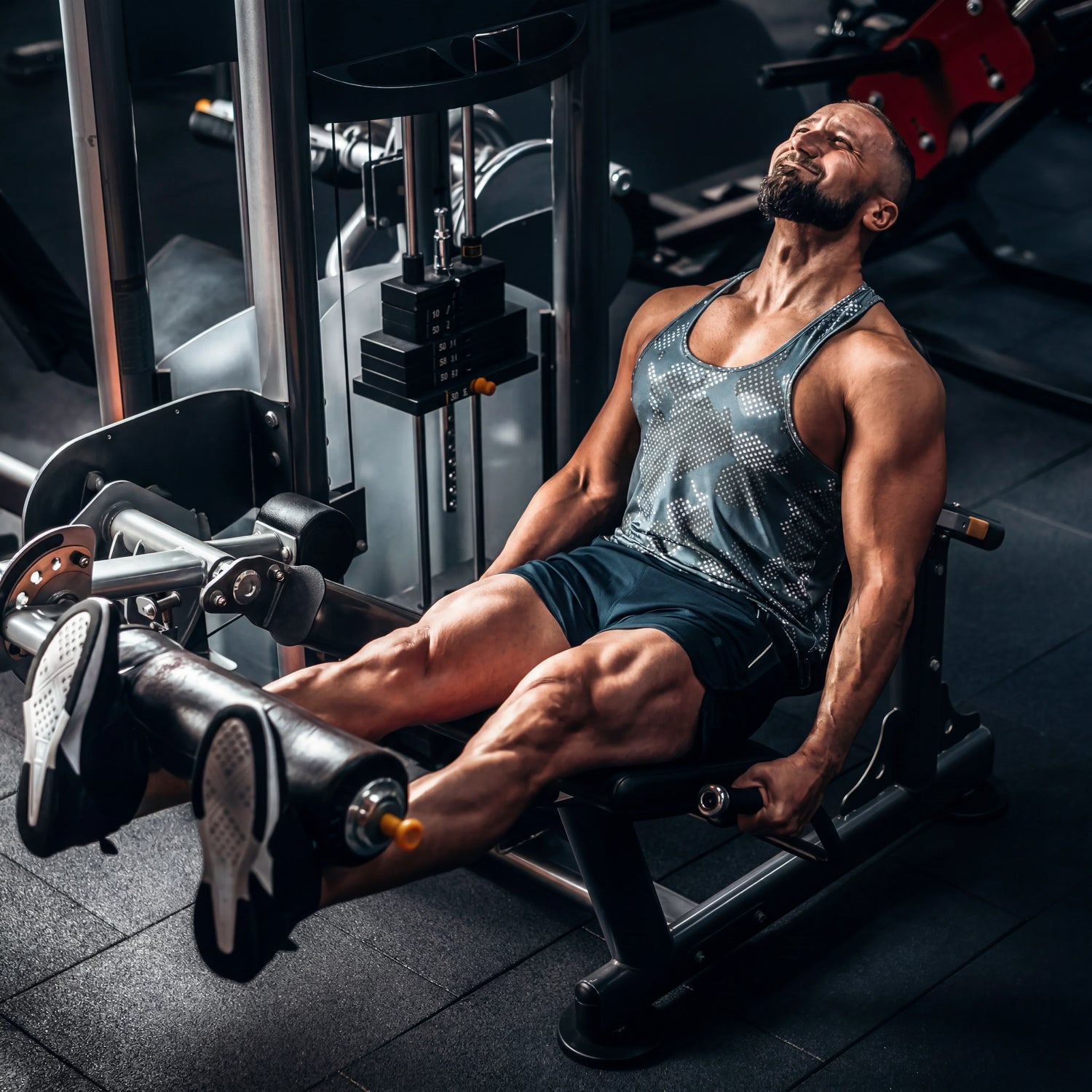 Musculación