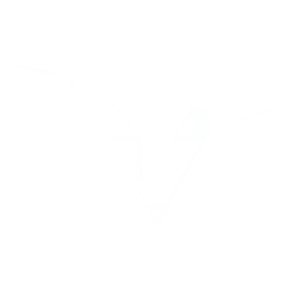 VELOCITY